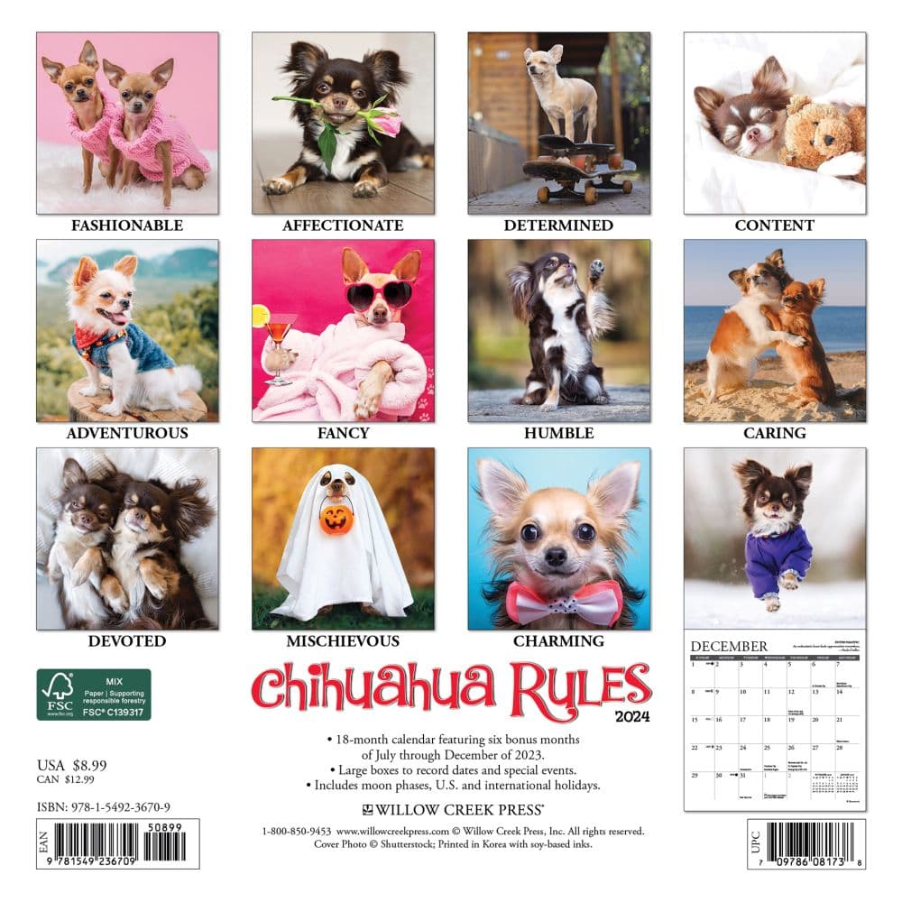 Chihuahua Rules 2024 Mini Wall Calendar Back of Calendar width=&quot;1000&quot; height=&quot;1000&quot;