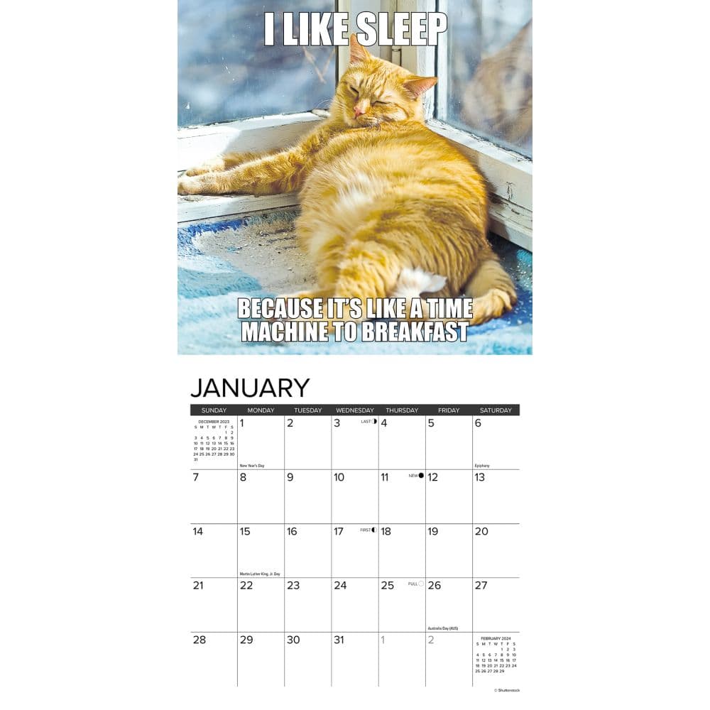 Cat Astrophe 2024 Mini Wall Calendar Interior Image width=&quot;1000&quot; height=&quot;1000&quot;