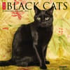 image Black Cats 2024 Mini Wall Calendar Main Image width=&quot;1000&quot; height=&quot;1000&quot;