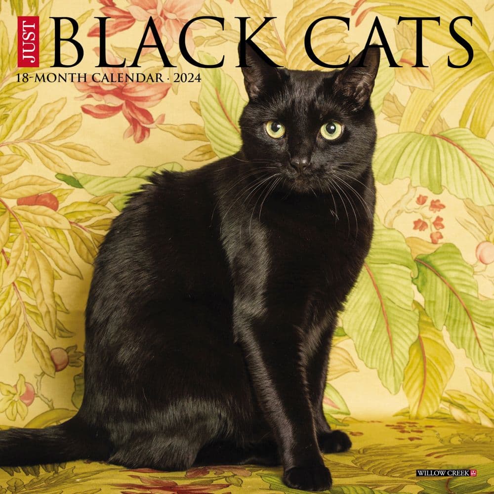 Black Cats 2024 Mini Wall Calendar Main Image width=&quot;1000&quot; height=&quot;1000&quot;