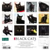 image Black Cats 2024 Mini Wall Calendar Back of Calendar width=&quot;1000&quot; height=&quot;1000&quot;