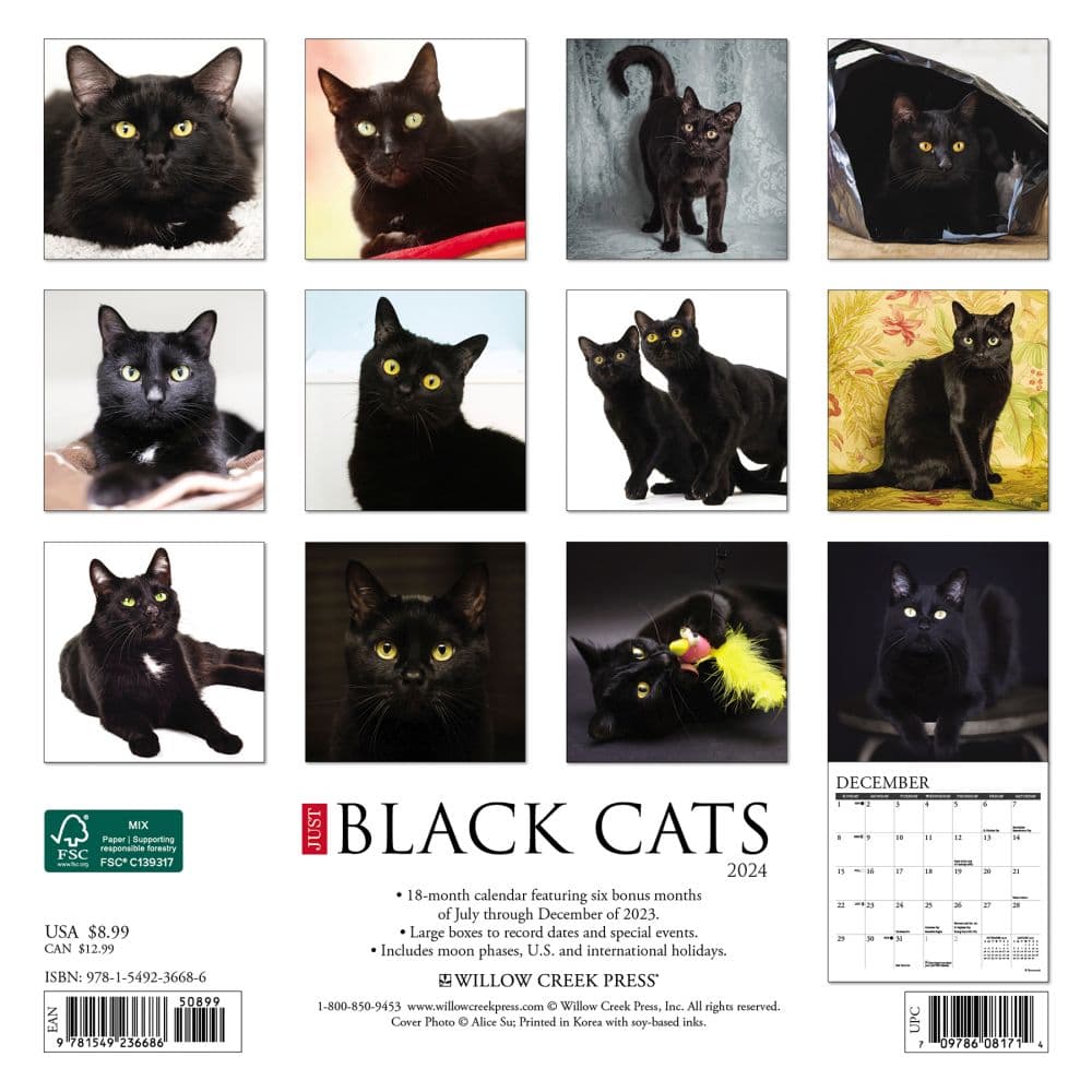 Black Cats 2024 Mini Wall Calendar Back of Calendar width=&quot;1000&quot; height=&quot;1000&quot;