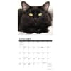 image Black Cats 2024 Mini Wall Calendar Interior Image width=&quot;1000&quot; height=&quot;1000&quot;