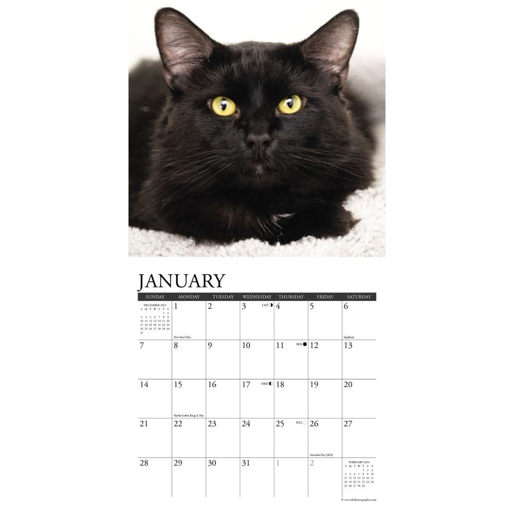 Black Cats 2024 Mini Wall Calendar Interior Image width=&quot;1000&quot; height=&quot;1000&quot;