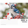 image Backyard Birds 2024 Desk Calendar Interior Image width=&quot;1000&quot; height=&quot;1000&quot;