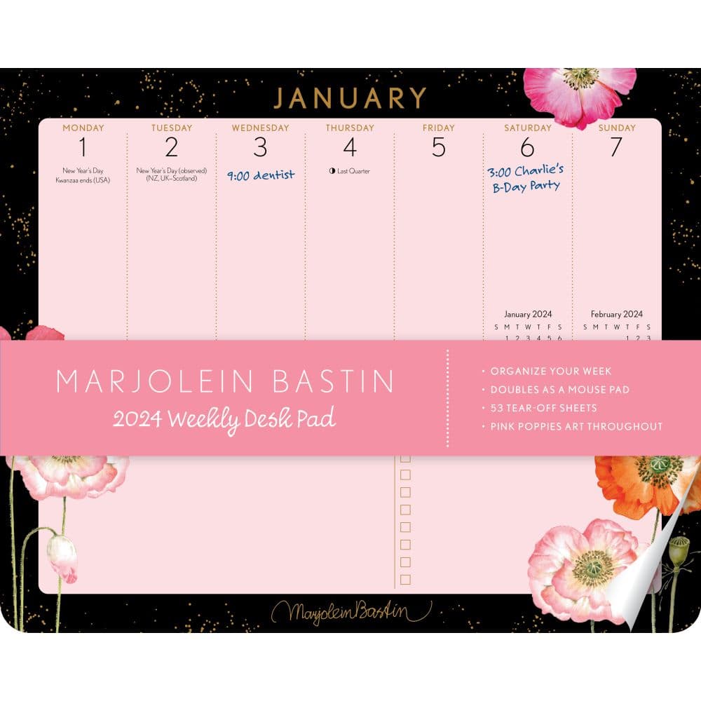 STIL x Kaeli Mae 2024 Dated Weekly Task & Schedule Planner Agenda Calendar:  Grootes, Marissa Cristina: : Books