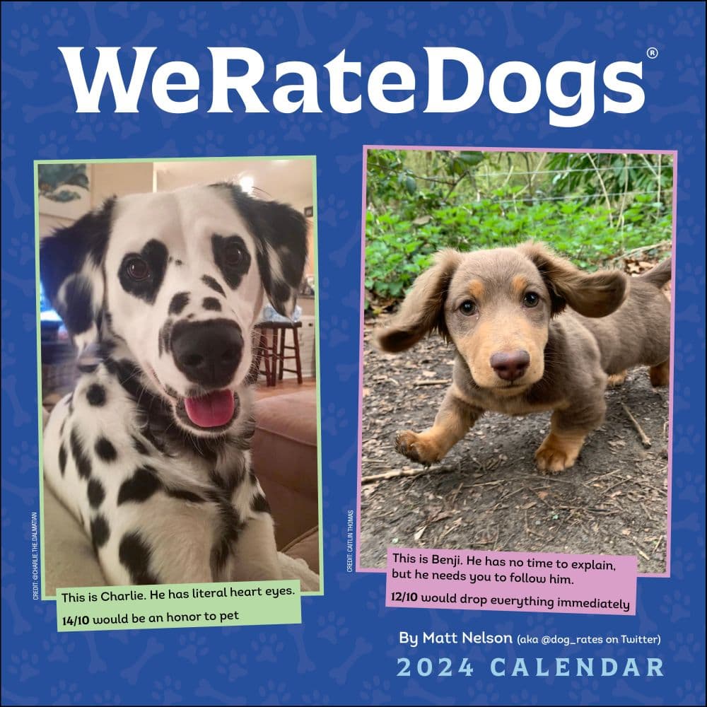 We Rate Dogs 2024 Wall Calendar Main Image width=&quot;1000&quot; height=&quot;1000&quot;