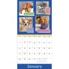 image We Rate Dogs 2024 Wall Calendar Alternate Image 2 width=&quot;1000&quot; height=&quot;1000&quot;