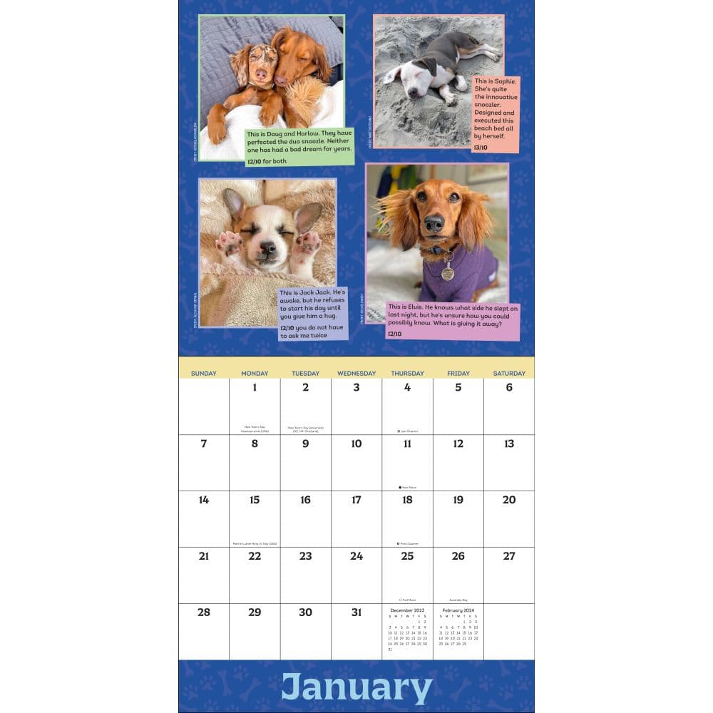 We Rate Dogs 2024 Wall Calendar Alternate Image 2 width=&quot;1000&quot; height=&quot;1000&quot;