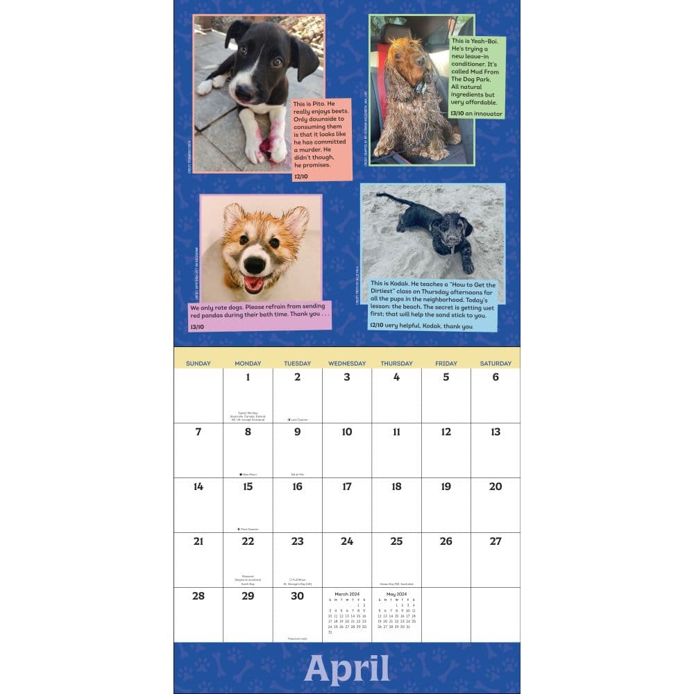We Rate Dogs 2024 Wall Calendar Alternate Image 3 width=&quot;1000&quot; height=&quot;1000&quot;