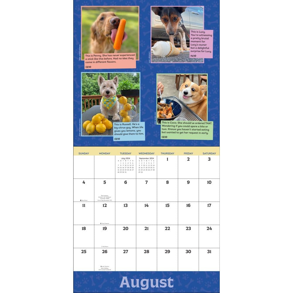 We Rate Dogs 2024 Wall Calendar Alternate Image 4 width=&quot;1000&quot; height=&quot;1000&quot;