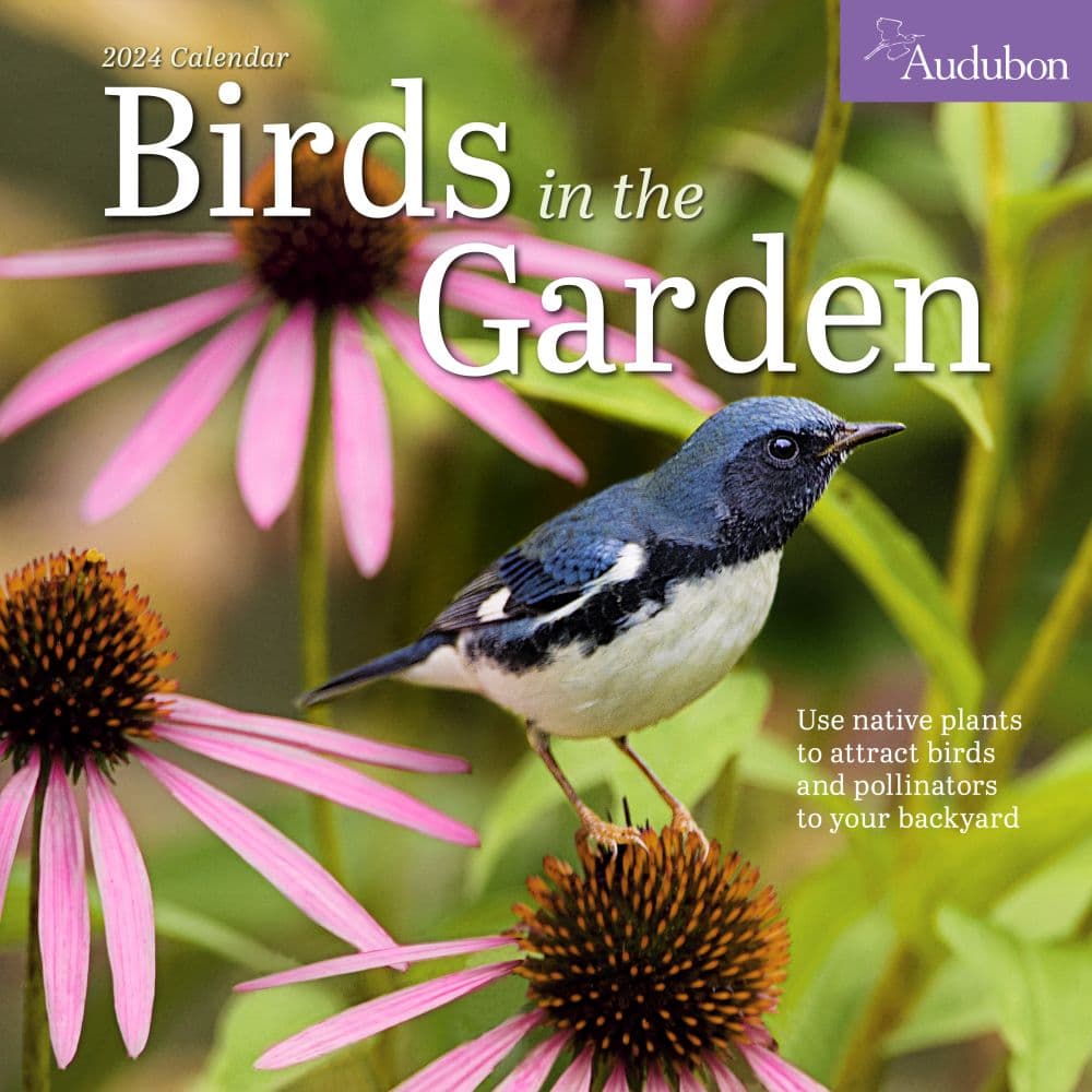 Audubon Garden Birds 2024 Wall Calendar Calendars Com   202400008429 