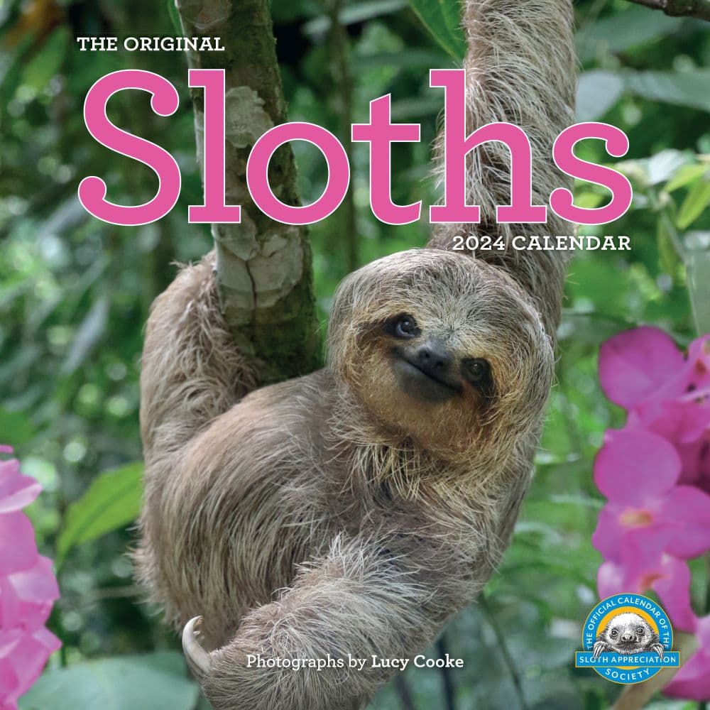 Hanging With Sloths 2025 Wall Calendar