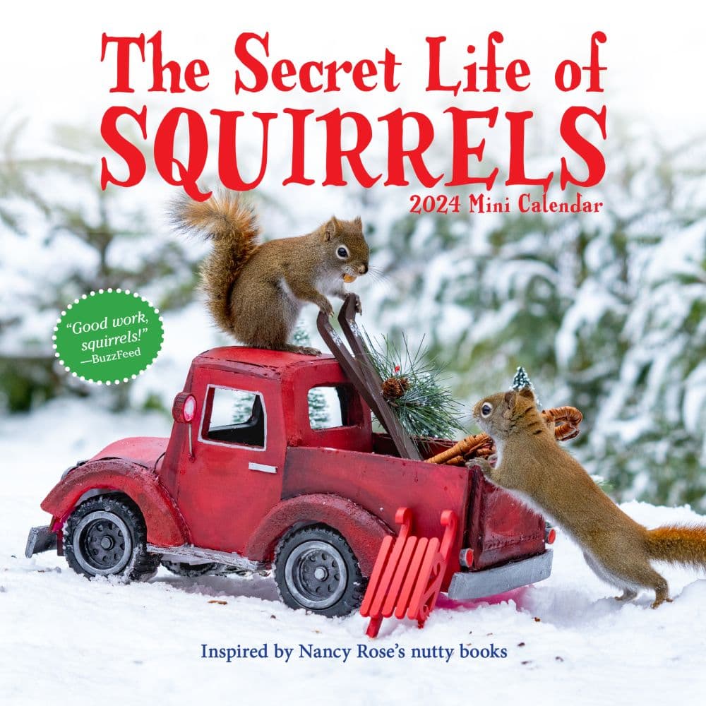 Secret Life of Squirrels 2024 Mini Wall Calendar - Calendars.com