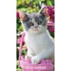 image Cute As A Kitten 2 Year 2024 Pocket Planner Main Image width=&quot;1000&quot; height=&quot;1000&quot;