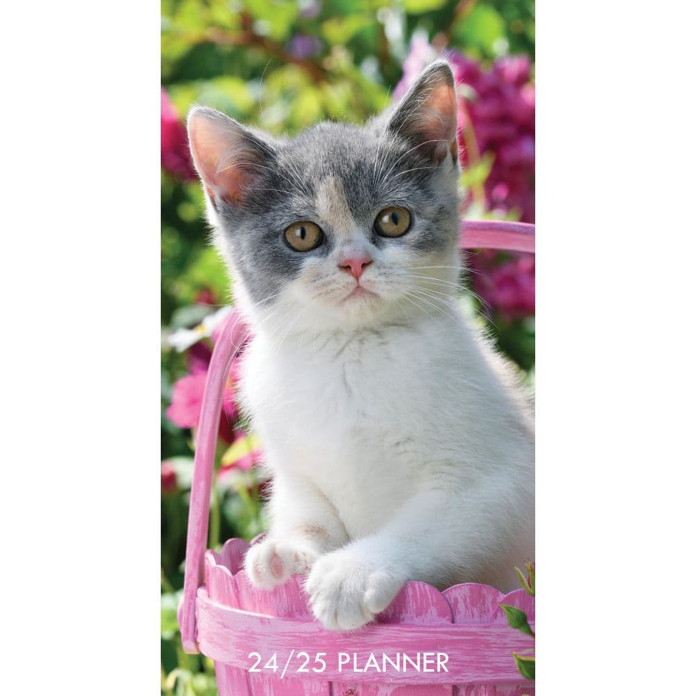 Cute As A Kitten 2 Year 2024 Pocket Planner Main Image width=&quot;1000&quot; height=&quot;1000&quot;