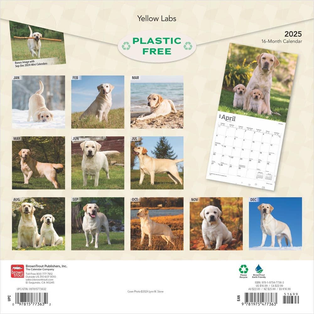 Yellow Lab Retriever 2025 Wall Calendar First Alternate Image width=&quot;1000&quot; height=&quot;1000&quot;