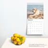 image Yellow Lab Retriever 2025 Wall Calendar Fourth Alternate Image width=&quot;1000&quot; height=&quot;1000&quot;