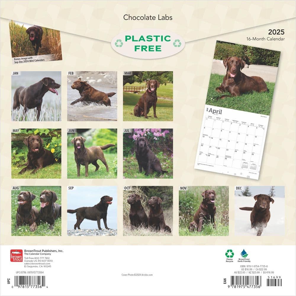 Chocolate Lab Retriever 2025 Wall Calendar First Alternate Image width=&quot;1000&quot; height=&quot;1000&quot;