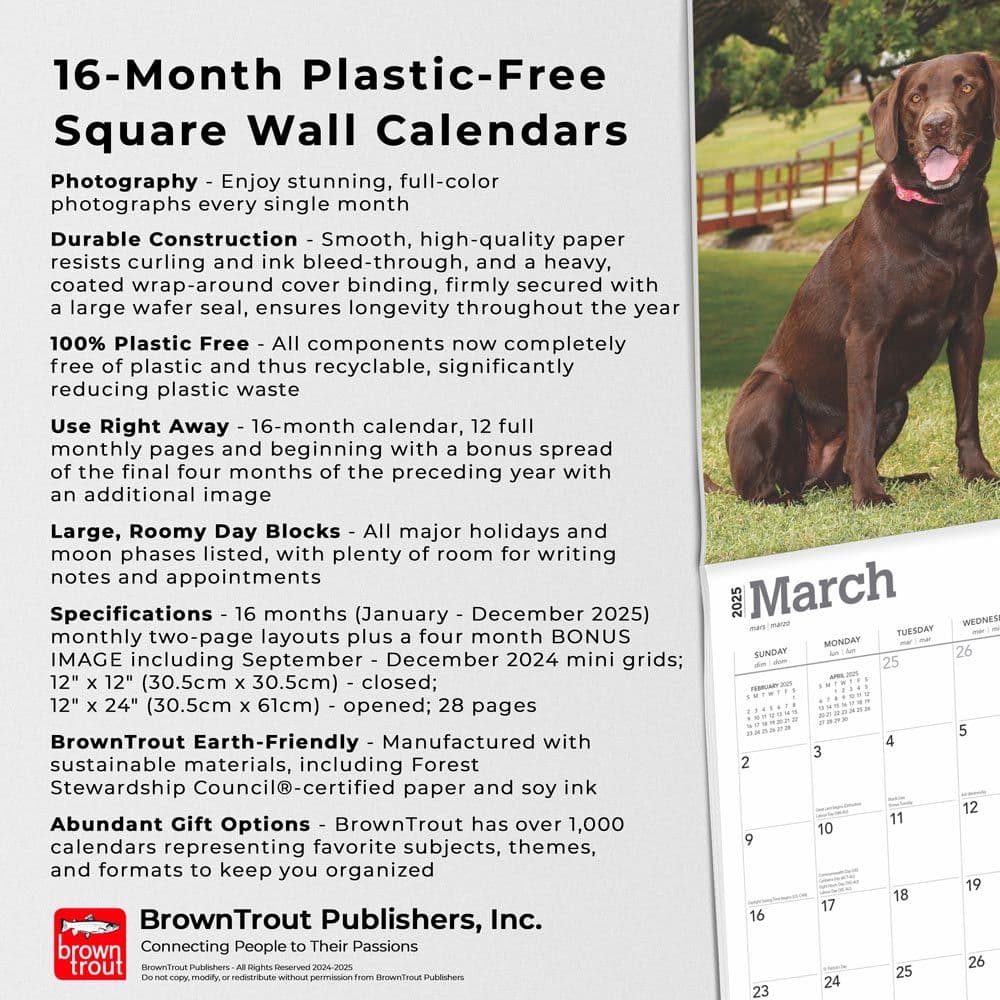 Chocolate Lab Retriever 2025 Wall Calendar Fifth Alternate Image width=&quot;1000&quot; height=&quot;1000&quot;