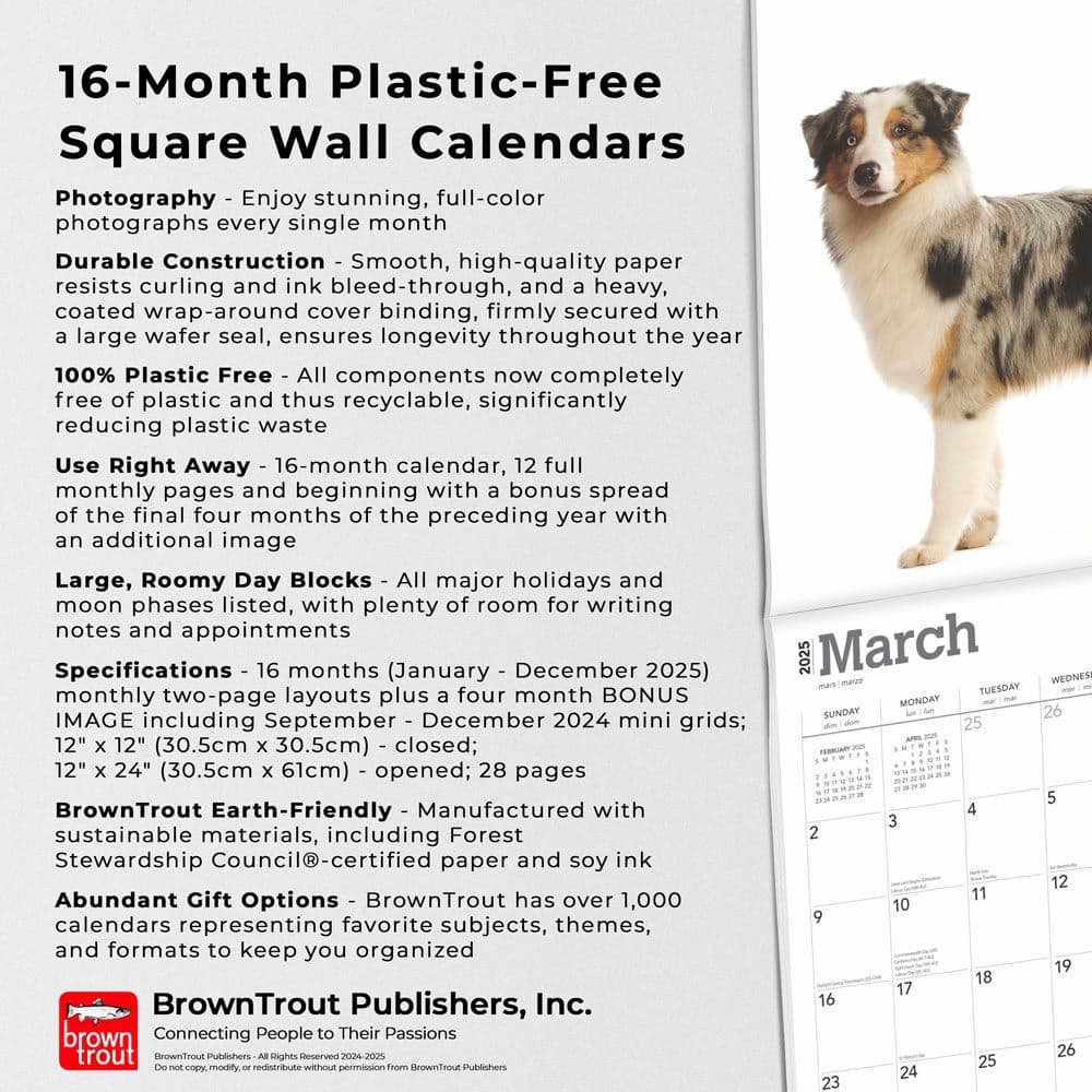 Australian Shepherds 2025 Wall Calendar Fourth Alternate Image width=&quot;1000&quot; height=&quot;1000&quot;