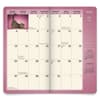 image Yoga Kittens 2 Year 2025 Pocket Planner Third Alternate Image width=&quot;1000&quot; height=&quot;1000&quot;