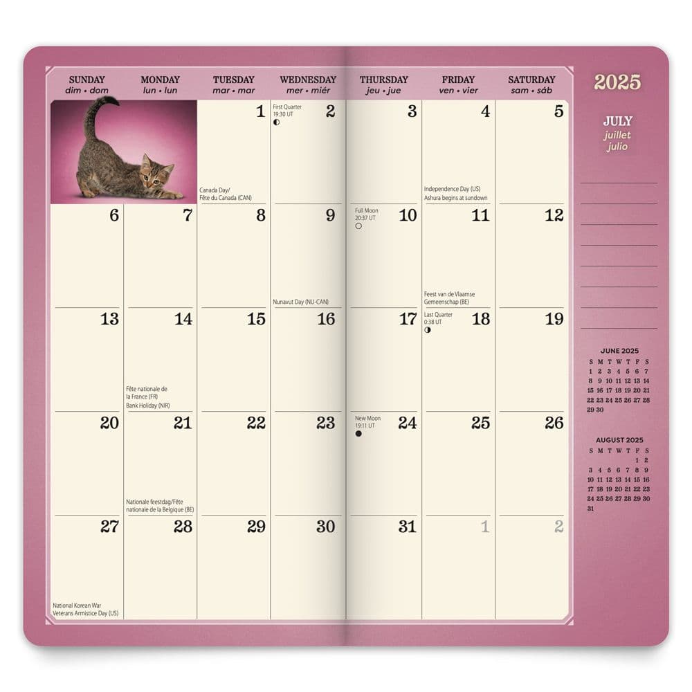 Yoga Kittens 2 Year 2025 Pocket Planner Third Alternate Image width=&quot;1000&quot; height=&quot;1000&quot;