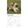 image Puppies For the Love 2025 Mini Wall Calendar Third Alternate Image width=&quot;1000&quot; height=&quot;1000&quot;