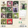 image Pug Puppies 2025 Mini Wall Calendar First Alternate Image width=&quot;1000&quot; height=&quot;1000&quot;