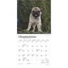 image Pug Puppies 2025 Mini Wall Calendar Third Alternate Image width=&quot;1000&quot; height=&quot;1000&quot;