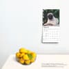 image Pug Puppies 2025 Mini Wall Calendar Fourth Alternate Image width=&quot;1000&quot; height=&quot;1000&quot;