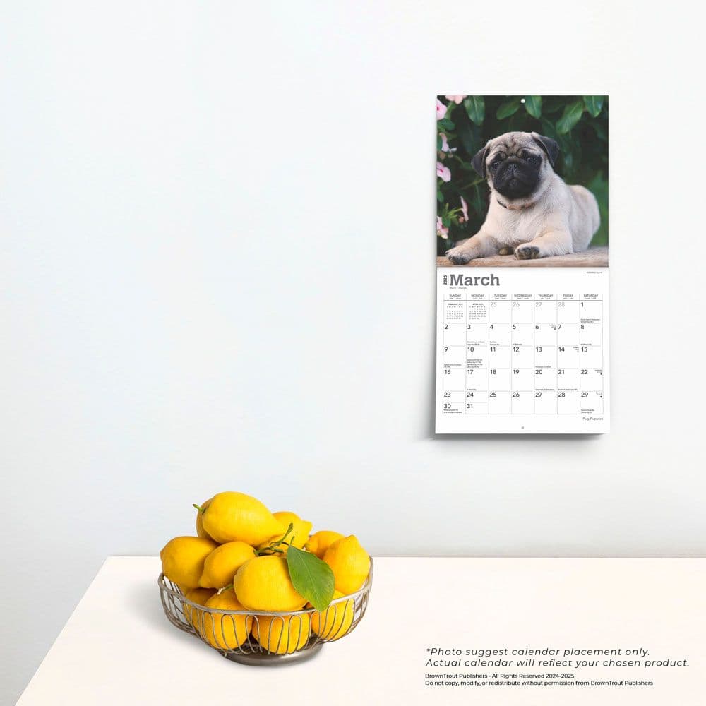 Pug Puppies 2025 Mini Wall Calendar Fourth Alternate Image width=&quot;1000&quot; height=&quot;1000&quot;