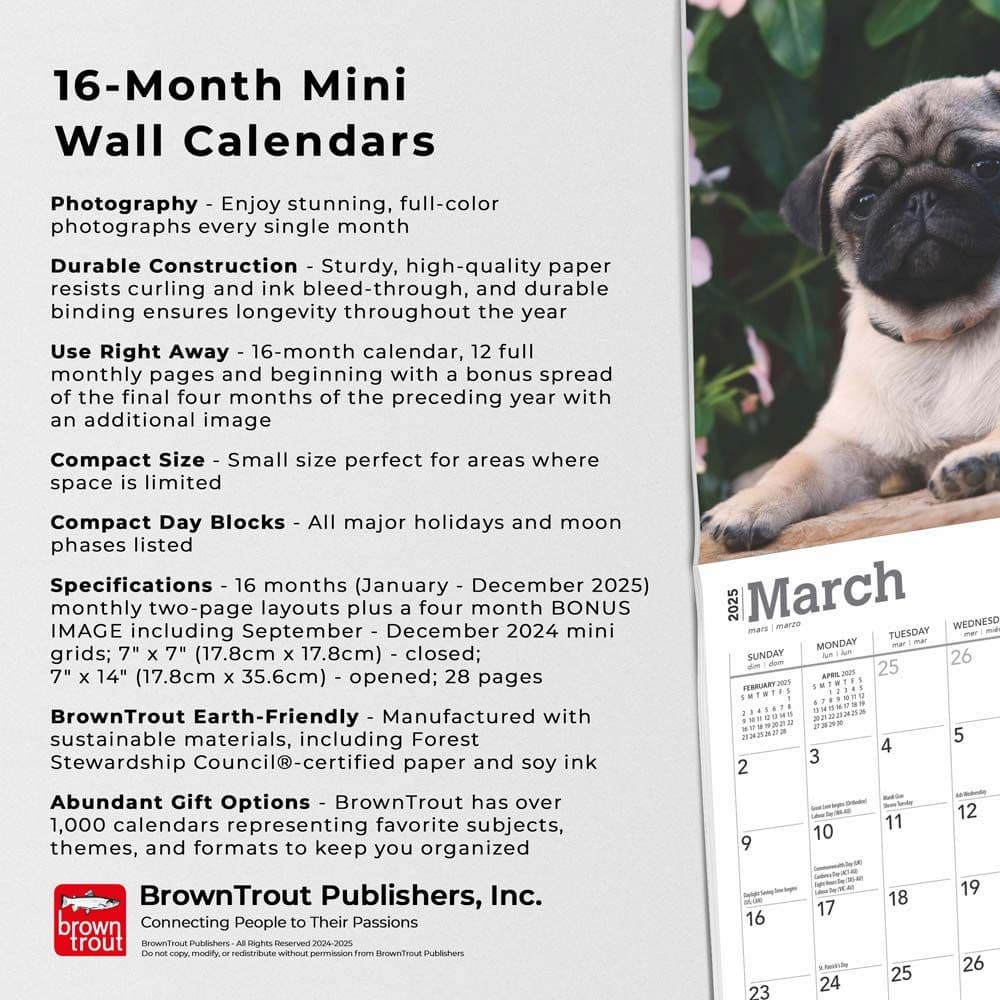 Pug Puppies 2025 Mini Wall Calendar Fifth Alternate Image width=&quot;1000&quot; height=&quot;1000&quot;