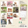 image Kittens and Puppies 2025 Mini Wall Calendar First Alternate Image width=&quot;1000&quot; height=&quot;1000&quot;