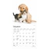 image Kittens and Puppies 2025 Mini Wall Calendar Second Alternate Image width=&quot;1000&quot; height=&quot;1000&quot;