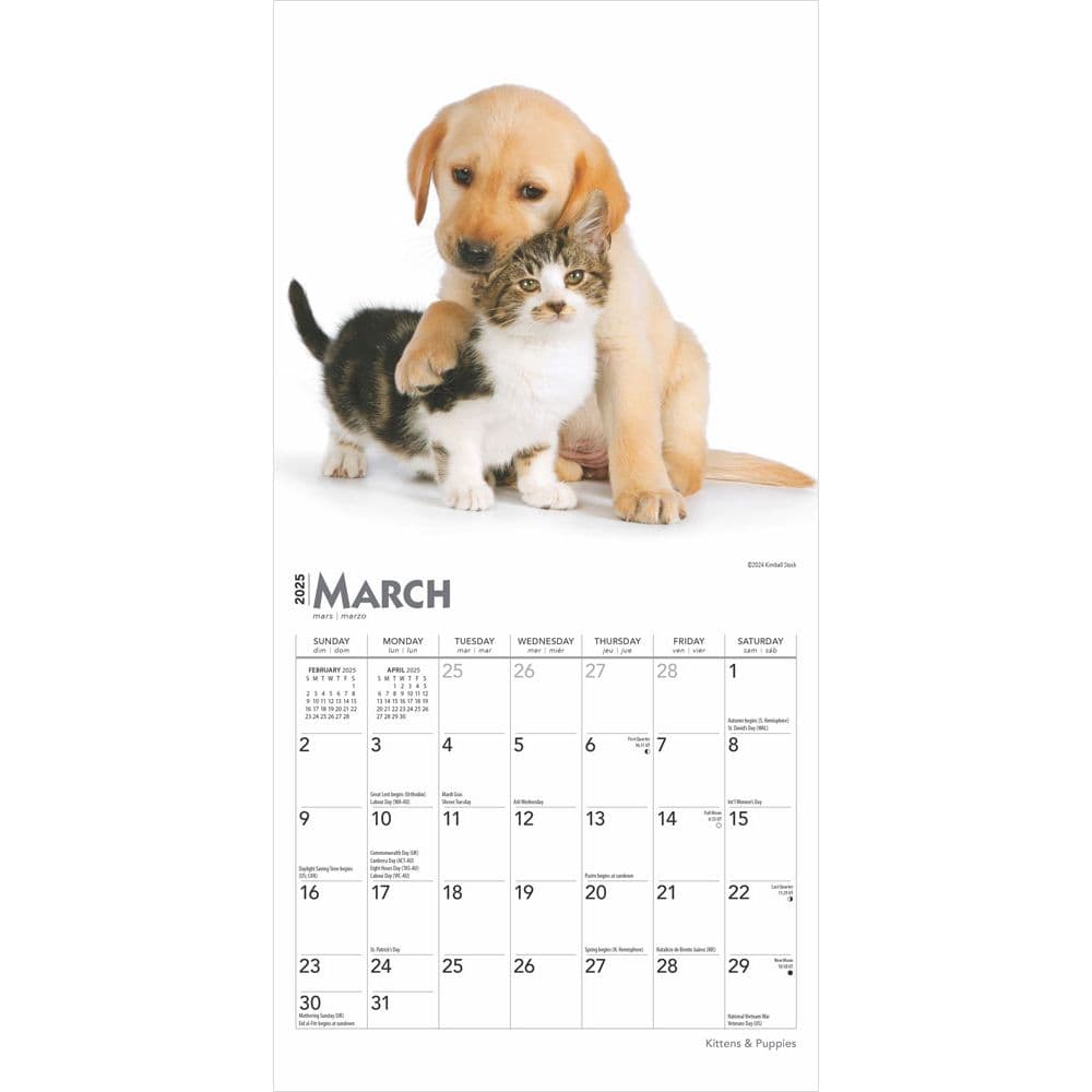 Kittens and Puppies 2025 Mini Wall Calendar Second Alternate Image width=&quot;1000&quot; height=&quot;1000&quot;