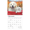 image Kittens and Puppies 2025 Mini Wall Calendar Third Alternate Image width=&quot;1000&quot; height=&quot;1000&quot;