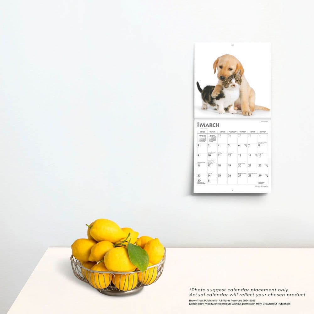 Kittens and Puppies 2025 Mini Wall Calendar Fourth Alternate Image width=&quot;1000&quot; height=&quot;1000&quot;