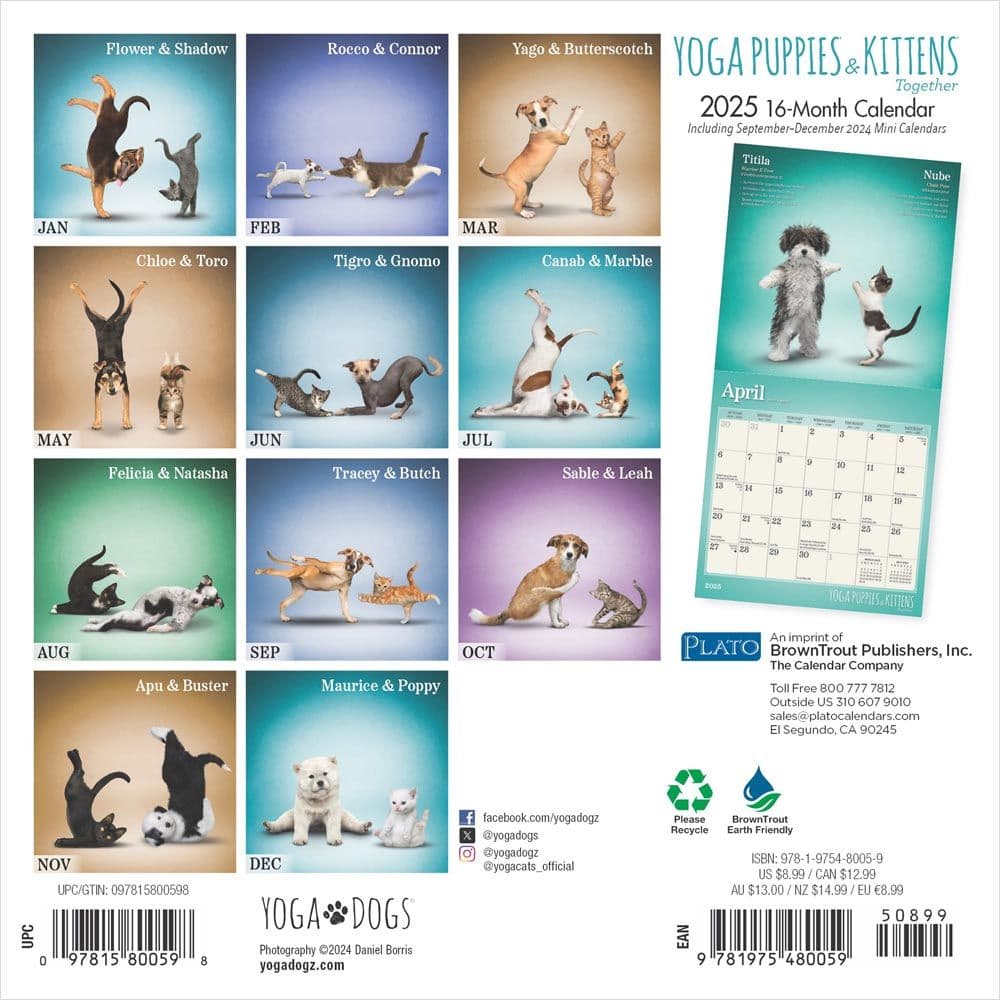 Yoga Puppies and Kittens 2025 Mini Wall Calendar First Alternate Image width=&quot;1000&quot; height=&quot;1000&quot;