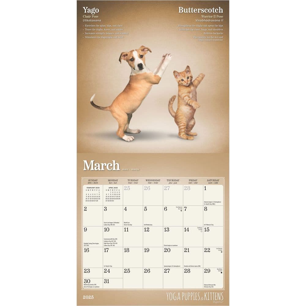 Yoga Puppies and Kittens 2025 Mini Wall Calendar Second Alternate Image width=&quot;1000&quot; height=&quot;1000&quot;