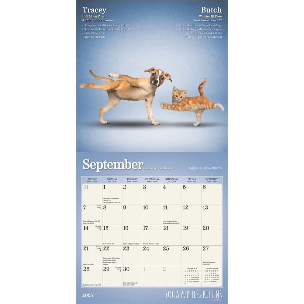 Yoga Puppies and Kittens 2025 Mini Wall Calendar Third Alternate Image width=&quot;1000&quot; height=&quot;1000&quot;