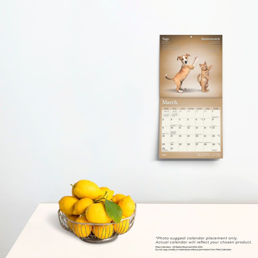 Yoga Puppies and Kittens 2025 Mini Wall Calendar Fourth Alternate Image width=&quot;1000&quot; height=&quot;1000&quot;