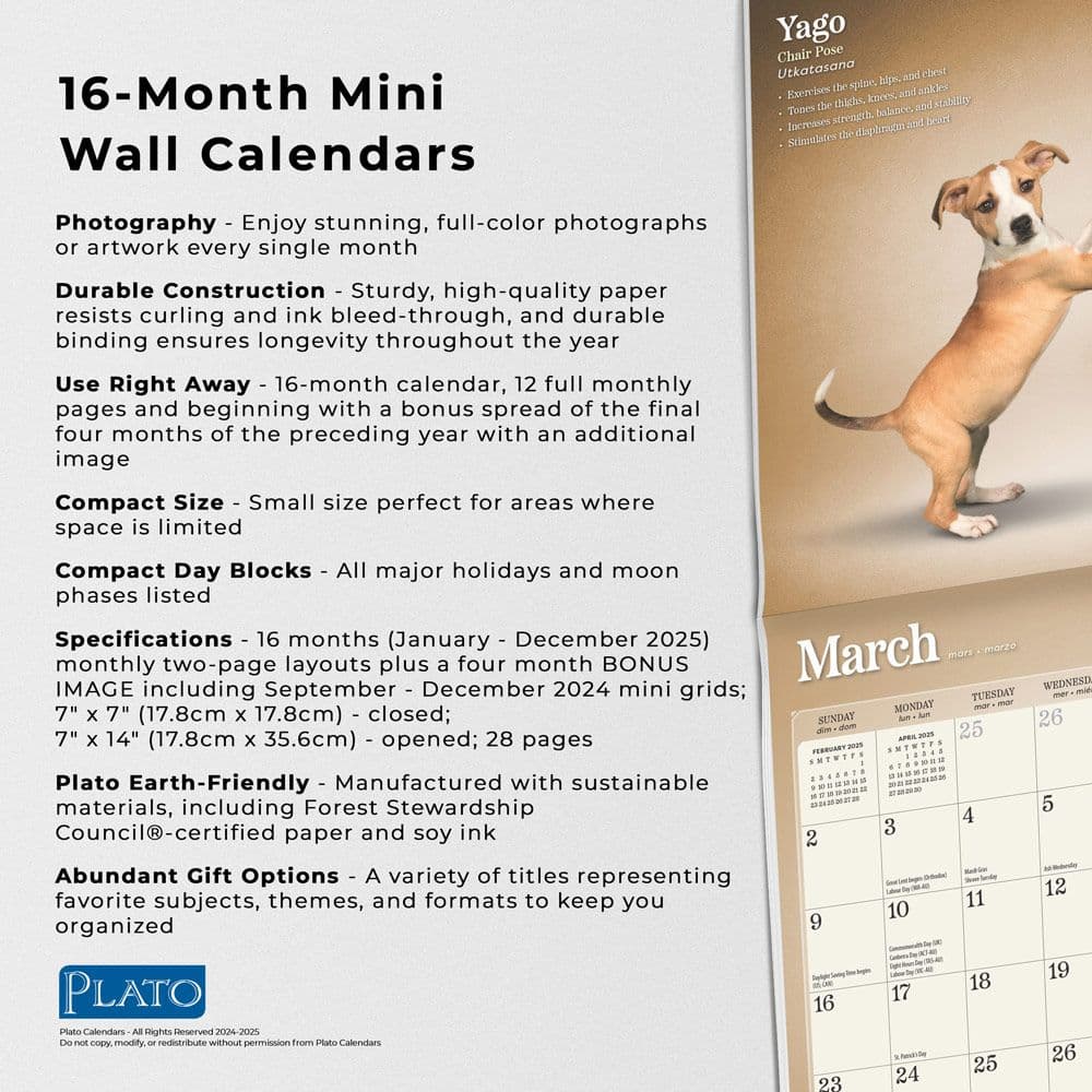 Yoga Puppies and Kittens 2025 Mini Wall Calendar Fifth Alternate Image width=&quot;1000&quot; height=&quot;1000&quot;