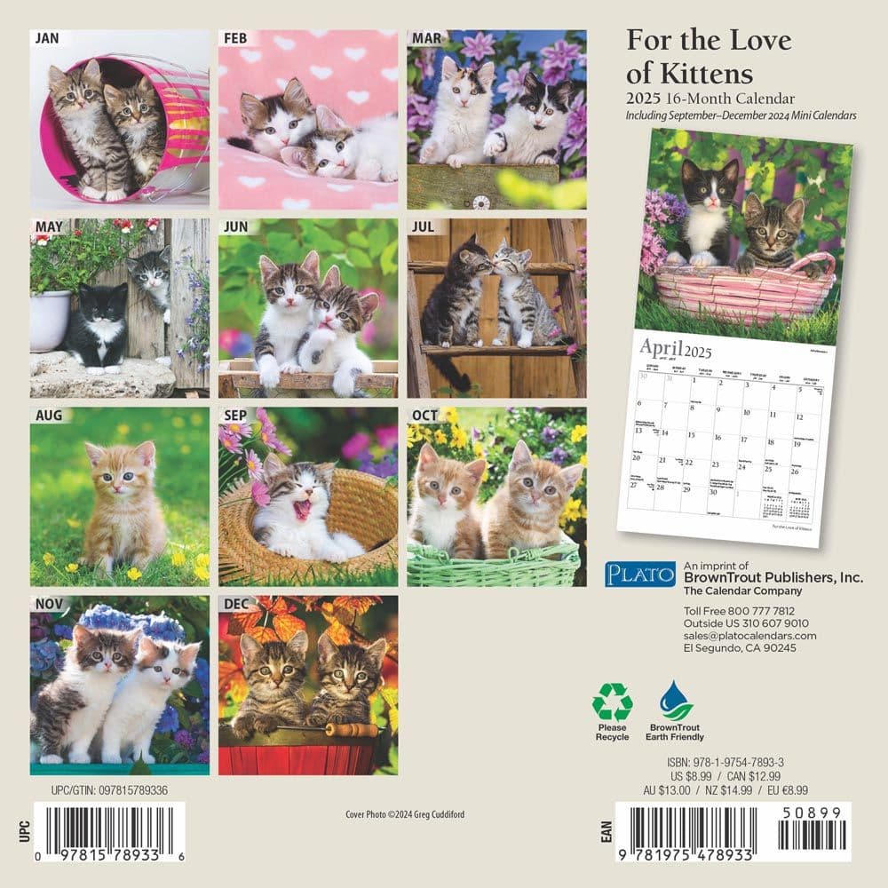 Kittens For the Love Plato 2025 Mini Wall Calendar First Alternate Image width=&quot;1000&quot; height=&quot;1000&quot;