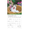 image Kittens For the Love Plato 2025 Mini Wall Calendar Third Alternate Image width=&quot;1000&quot; height=&quot;1000&quot;