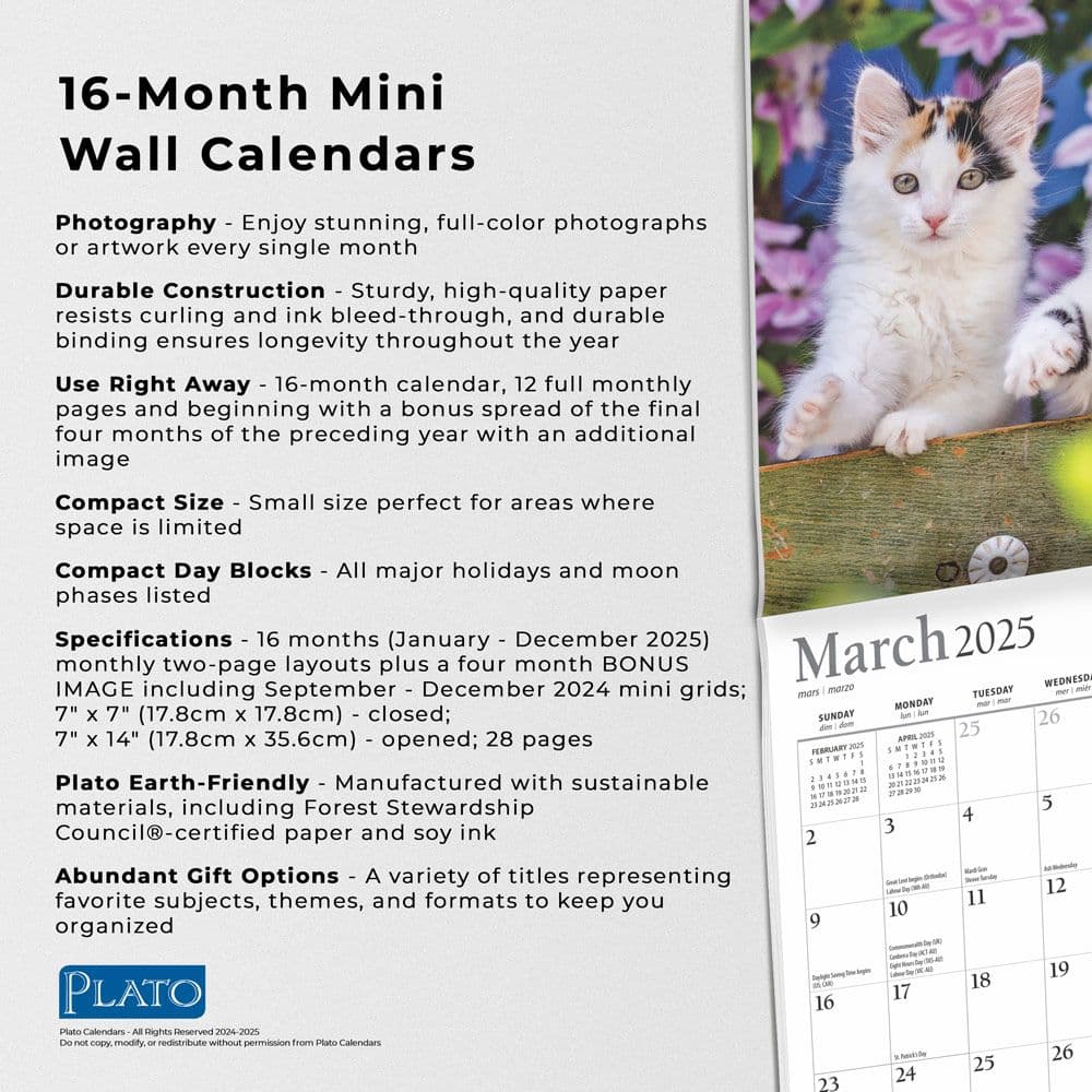 Kittens For the Love Plato 2025 Mini Wall Calendar Fifth Alternate Image width=&quot;1000&quot; height=&quot;1000&quot;