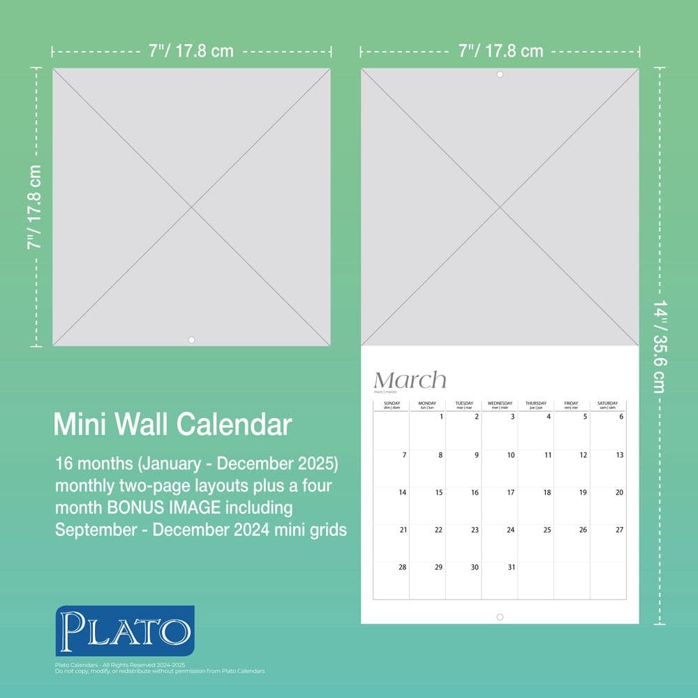 Kittens For the Love Plato 2025 Mini Wall Calendar Sixth Alternate Image width=&quot;1000&quot; height=&quot;1000&quot;