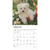 image Maltese 2025 Mini Wall Calendar Second Alternate Image width=&quot;1000&quot; height=&quot;1000&quot;