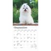 image Maltese 2025 Mini Wall Calendar Third Alternate Image width=&quot;1000&quot; height=&quot;1000&quot;