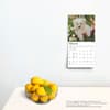 image Maltese 2025 Mini Wall Calendar Fourth Alternate Image width=&quot;1000&quot; height=&quot;1000&quot;